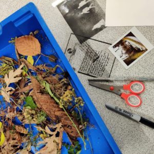 Tray with leaves bext to photos and scissors